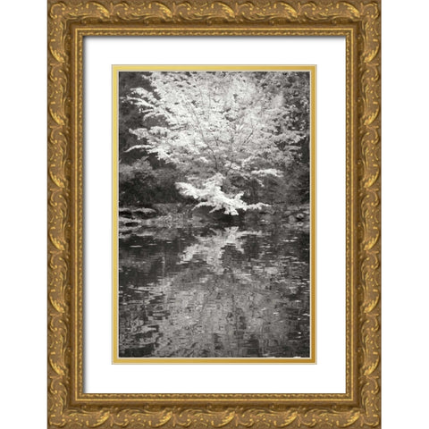 Fall Bouquet I BandW Gold Ornate Wood Framed Art Print with Double Matting by Geyman, Vitaly