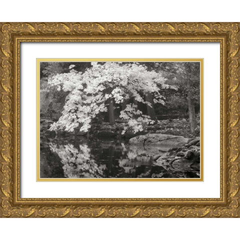 Autumn Reflections II BandW Gold Ornate Wood Framed Art Print with Double Matting by Geyman, Vitaly