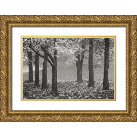 Colors in the Mist VII BandW Gold Ornate Wood Framed Art Print with Double Matting by Geyman, Vitaly
