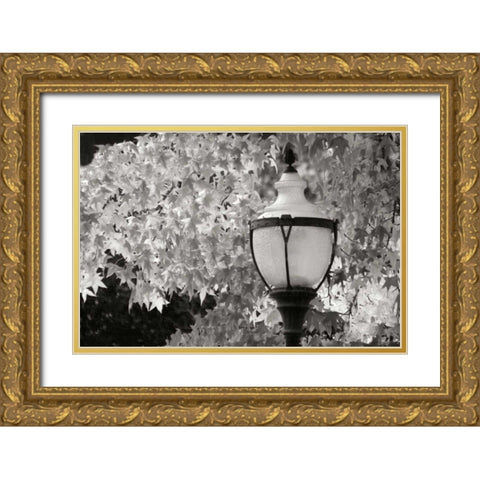 Fall Lighting II BandW Gold Ornate Wood Framed Art Print with Double Matting by Geyman, Vitaly