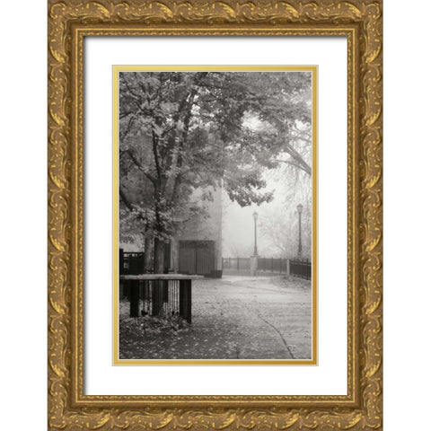 Fall Plaza IV BandW Gold Ornate Wood Framed Art Print with Double Matting by Geyman, Vitaly