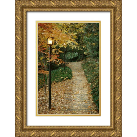 Autumn Path I Gold Ornate Wood Framed Art Print with Double Matting by Geyman, Vitaly