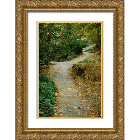 Autumn Path II Gold Ornate Wood Framed Art Print with Double Matting by Geyman, Vitaly