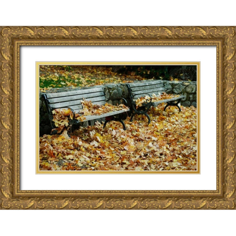 Autumn Paradise I Gold Ornate Wood Framed Art Print with Double Matting by Geyman, Vitaly