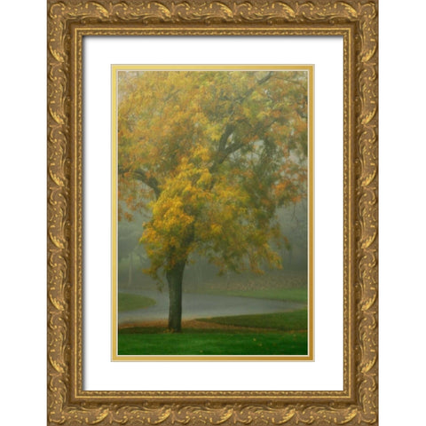 Colors in the Mist V Gold Ornate Wood Framed Art Print with Double Matting by Geyman, Vitaly