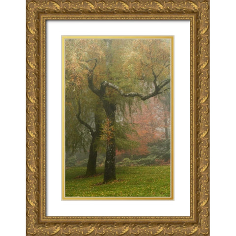 Colors in the Mist VI Gold Ornate Wood Framed Art Print with Double Matting by Geyman, Vitaly