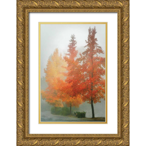 Colors in the Mist I Gold Ornate Wood Framed Art Print with Double Matting by Geyman, Vitaly
