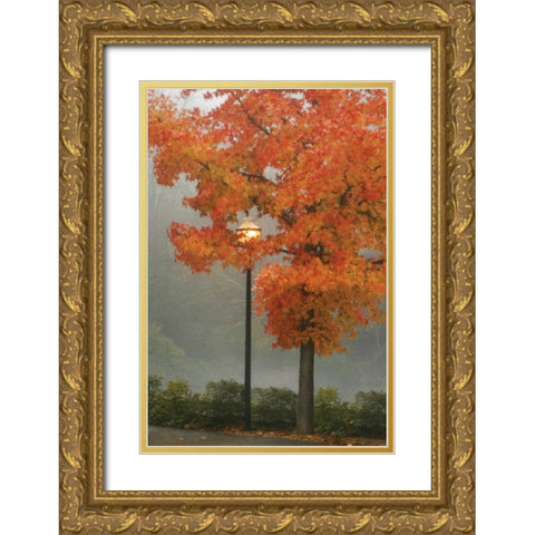 Colors in the Mist II Gold Ornate Wood Framed Art Print with Double Matting by Geyman, Vitaly