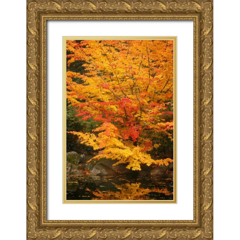 Fall Bouquet I Gold Ornate Wood Framed Art Print with Double Matting by Geyman, Vitaly