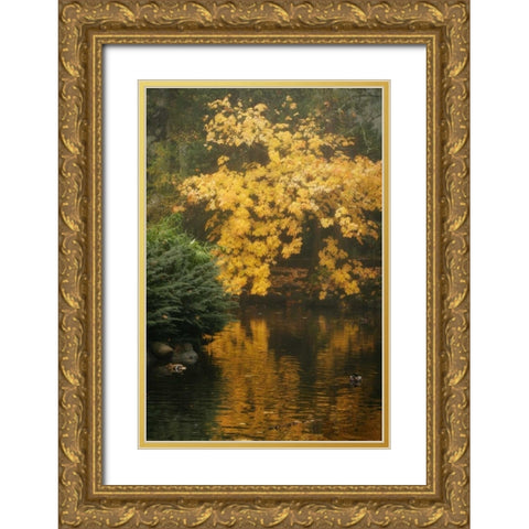 Autumn Reflections I Gold Ornate Wood Framed Art Print with Double Matting by Geyman, Vitaly
