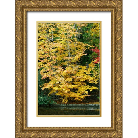 Tree Delicacy II Gold Ornate Wood Framed Art Print with Double Matting by Geyman, Vitaly