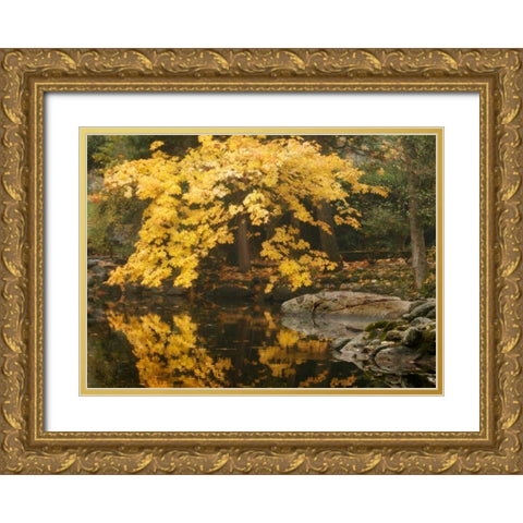 Autumn Reflections II Gold Ornate Wood Framed Art Print with Double Matting by Geyman, Vitaly
