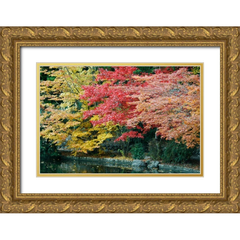 Autumn Trio I Gold Ornate Wood Framed Art Print with Double Matting by Geyman, Vitaly