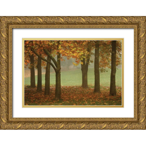 Colors in the Mist VII Gold Ornate Wood Framed Art Print with Double Matting by Geyman, Vitaly