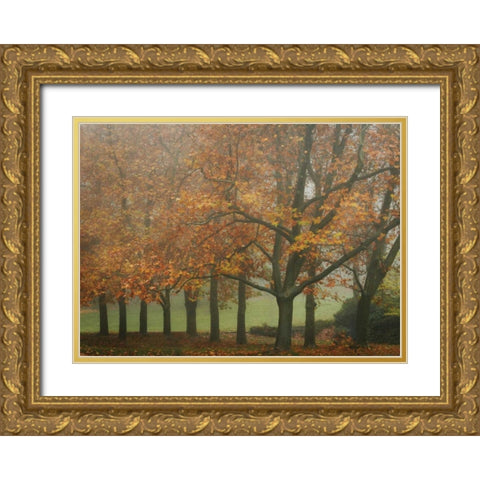 Colors in the Mist VIII Gold Ornate Wood Framed Art Print with Double Matting by Geyman, Vitaly