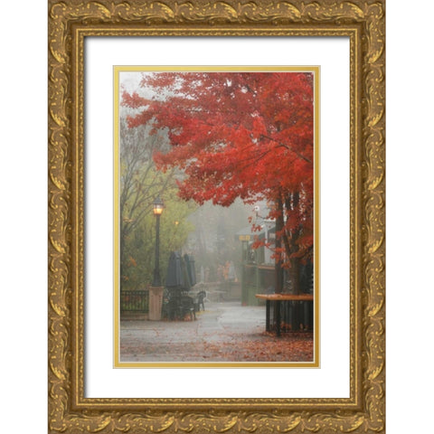 Fall Plaza III Gold Ornate Wood Framed Art Print with Double Matting by Geyman, Vitaly