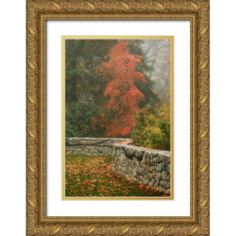 Fence Mosaic I Gold Ornate Wood Framed Art Print with Double Matting by Geyman, Vitaly