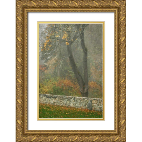 Fence Mosaic II Gold Ornate Wood Framed Art Print with Double Matting by Geyman, Vitaly
