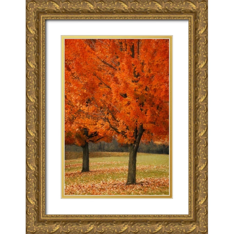 Splash of Color I Gold Ornate Wood Framed Art Print with Double Matting by Geyman, Vitaly
