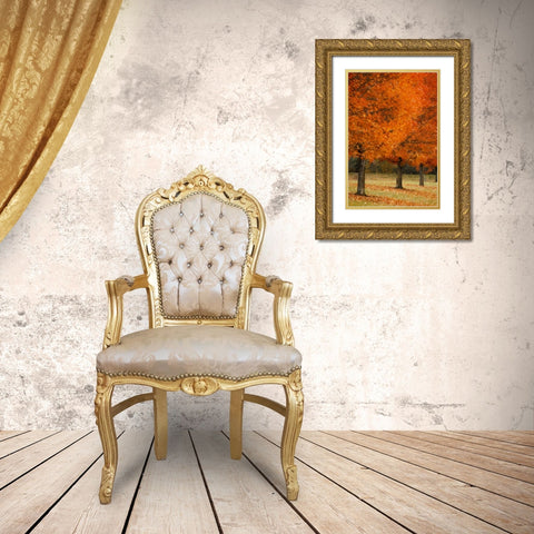 Splash of Color II Gold Ornate Wood Framed Art Print with Double Matting by Geyman, Vitaly