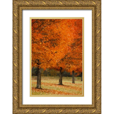 Splash of Color II Gold Ornate Wood Framed Art Print with Double Matting by Geyman, Vitaly