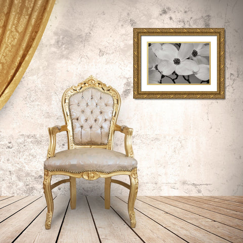 Dogwood Delicacy III BandW Gold Ornate Wood Framed Art Print with Double Matting by Geyman, Vitaly