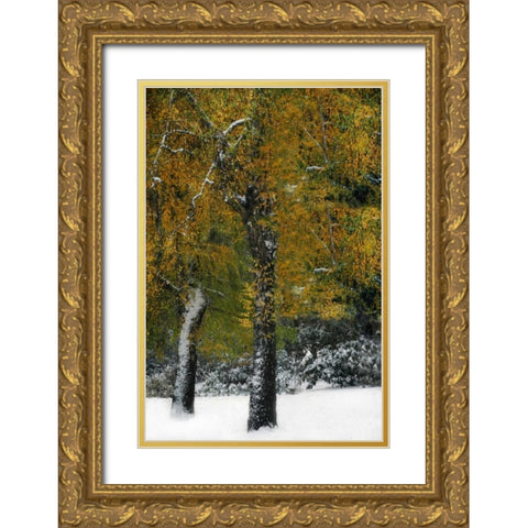 Last of Color I Gold Ornate Wood Framed Art Print with Double Matting by Geyman, Vitaly