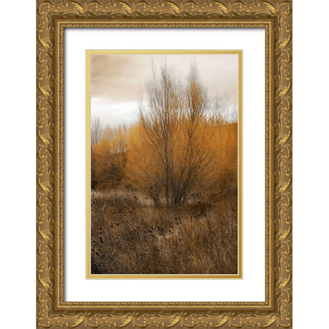Spring Serenity I Gold Ornate Wood Framed Art Print with Double Matting by Geyman, Vitaly