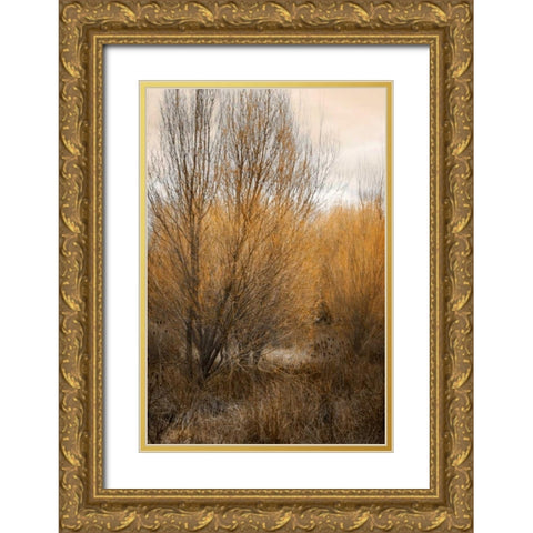 Spring Serenity II Gold Ornate Wood Framed Art Print with Double Matting by Geyman, Vitaly