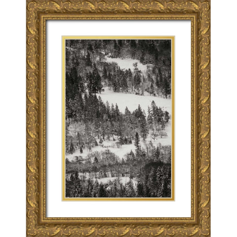 Winter Mosaic I Gold Ornate Wood Framed Art Print with Double Matting by Geyman, Vitaly
