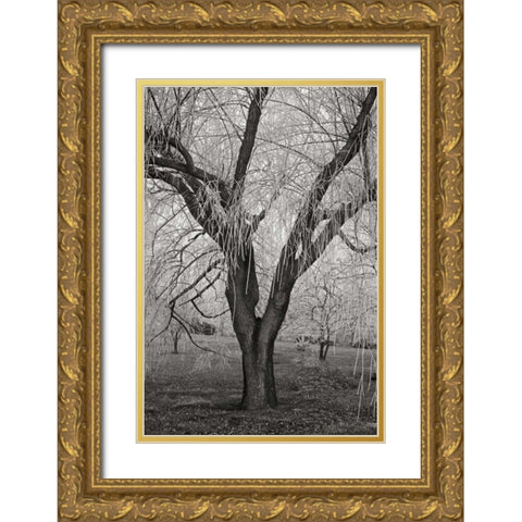 Winters Palace VII BandW Gold Ornate Wood Framed Art Print with Double Matting by Geyman, Vitaly