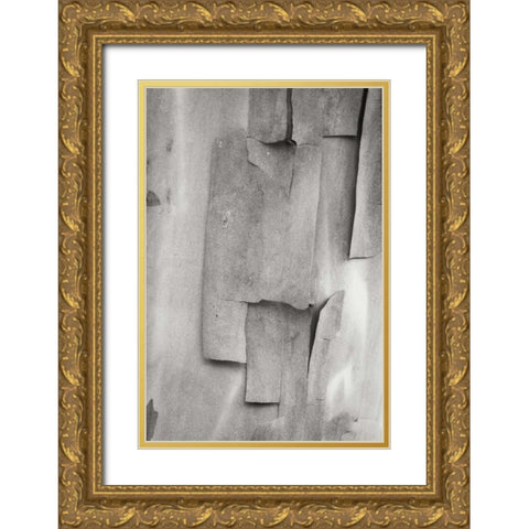 Madrone Mosaic II Gold Ornate Wood Framed Art Print with Double Matting by Geyman, Vitaly