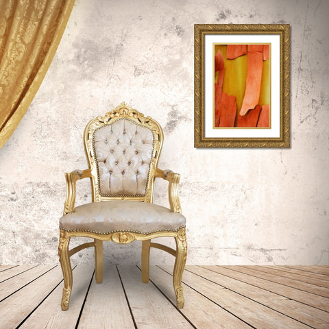 Madrone Mosaic I Gold Ornate Wood Framed Art Print with Double Matting by Geyman, Vitaly