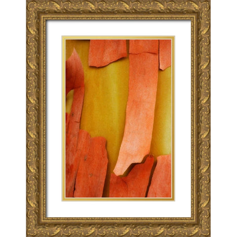 Madrone Mosaic I Gold Ornate Wood Framed Art Print with Double Matting by Geyman, Vitaly