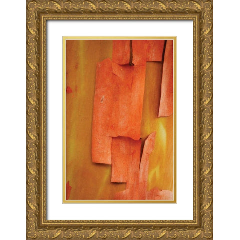 Madrone Mosaic II Gold Ornate Wood Framed Art Print with Double Matting by Geyman, Vitaly