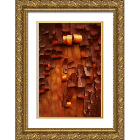 Menzanita Mosaic II Gold Ornate Wood Framed Art Print with Double Matting by Geyman, Vitaly