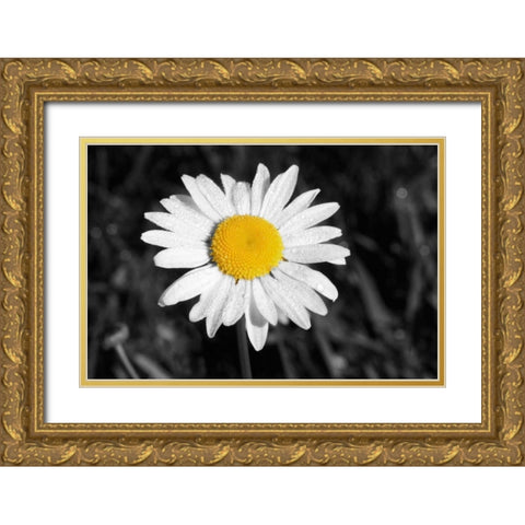 Morning Daisy I Gold Ornate Wood Framed Art Print with Double Matting by Geyman, Vitaly