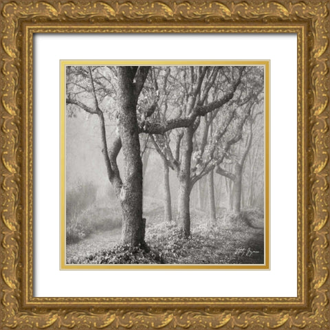 Tree in the Mist Sq Gold Ornate Wood Framed Art Print with Double Matting by Vitaly, Geyman