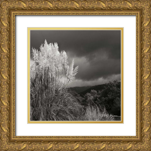 White Towers III BW Gold Ornate Wood Framed Art Print with Double Matting by Vitaly, Geyman