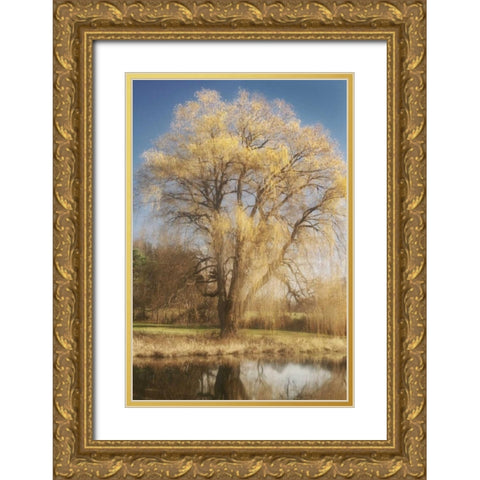 Willow Magic I Gold Ornate Wood Framed Art Print with Double Matting by Vitaly, Geyman