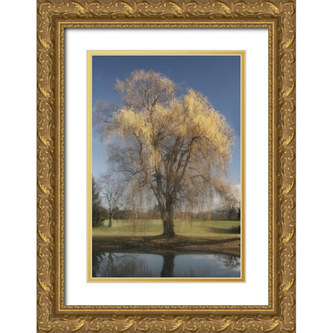 Willow Magic II Gold Ornate Wood Framed Art Print with Double Matting by Vitaly, Geyman