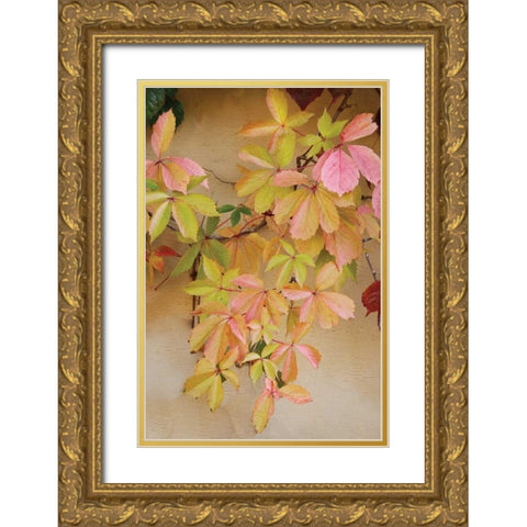 Vine Leaf Romance II Gold Ornate Wood Framed Art Print with Double Matting by Vitaly, Geyman