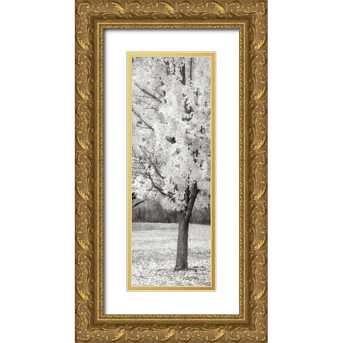 Splash of Color III BW Gold Ornate Wood Framed Art Print with Double Matting by Geyman, Vitaly