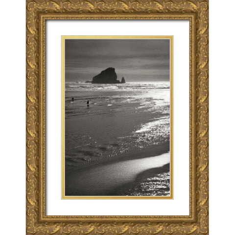 Seashore Serenity II BW Gold Ornate Wood Framed Art Print with Double Matting by Geyman, Vitaly