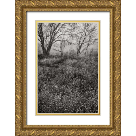 Country Serenity I Gold Ornate Wood Framed Art Print with Double Matting by Geyman, Vitaly
