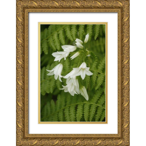 Gentle Bells II Gold Ornate Wood Framed Art Print with Double Matting by Geyman, Vitaly