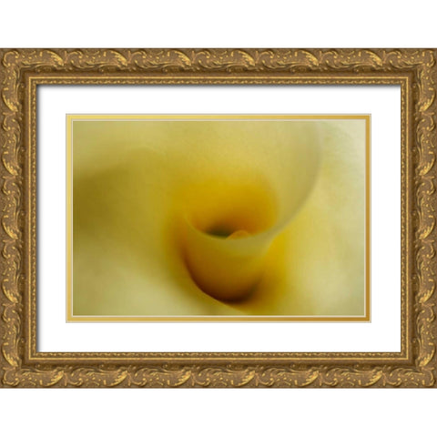 Tender Moments II Gold Ornate Wood Framed Art Print with Double Matting by Geyman, Vitaly