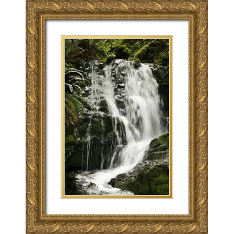 Waterfall I Gold Ornate Wood Framed Art Print with Double Matting by Geyman, Vitaly