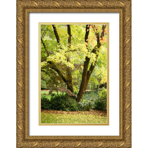 Fall Abundance II Gold Ornate Wood Framed Art Print with Double Matting by Geyman, Vitaly