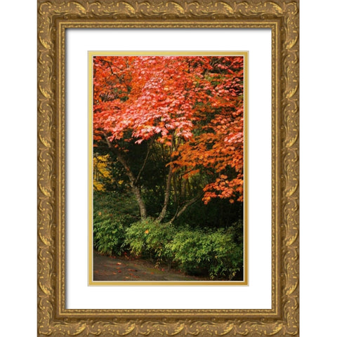 Fall Abundance IV Gold Ornate Wood Framed Art Print with Double Matting by Geyman, Vitaly